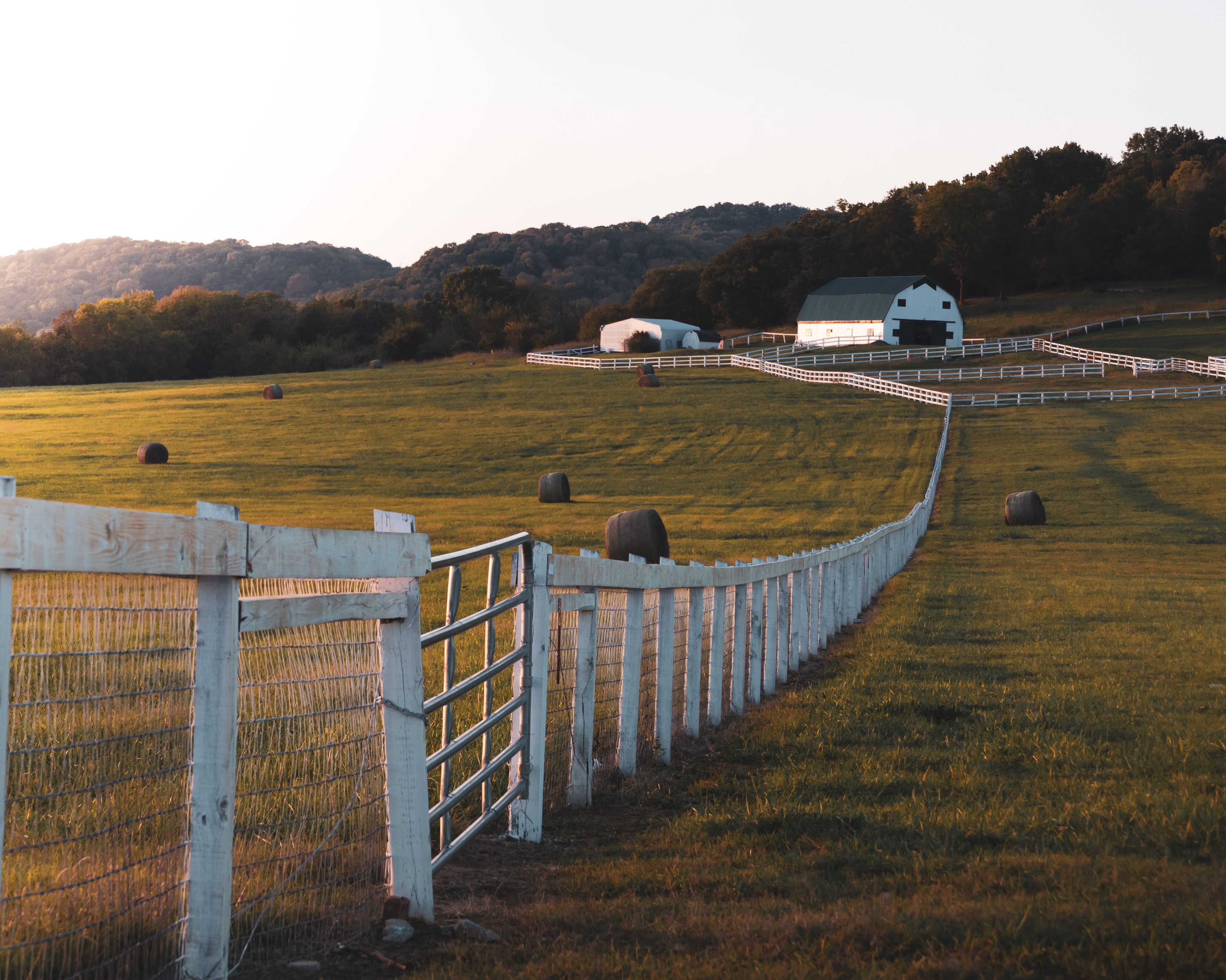 Close-up of a white fence leading through a serene forest farmstead