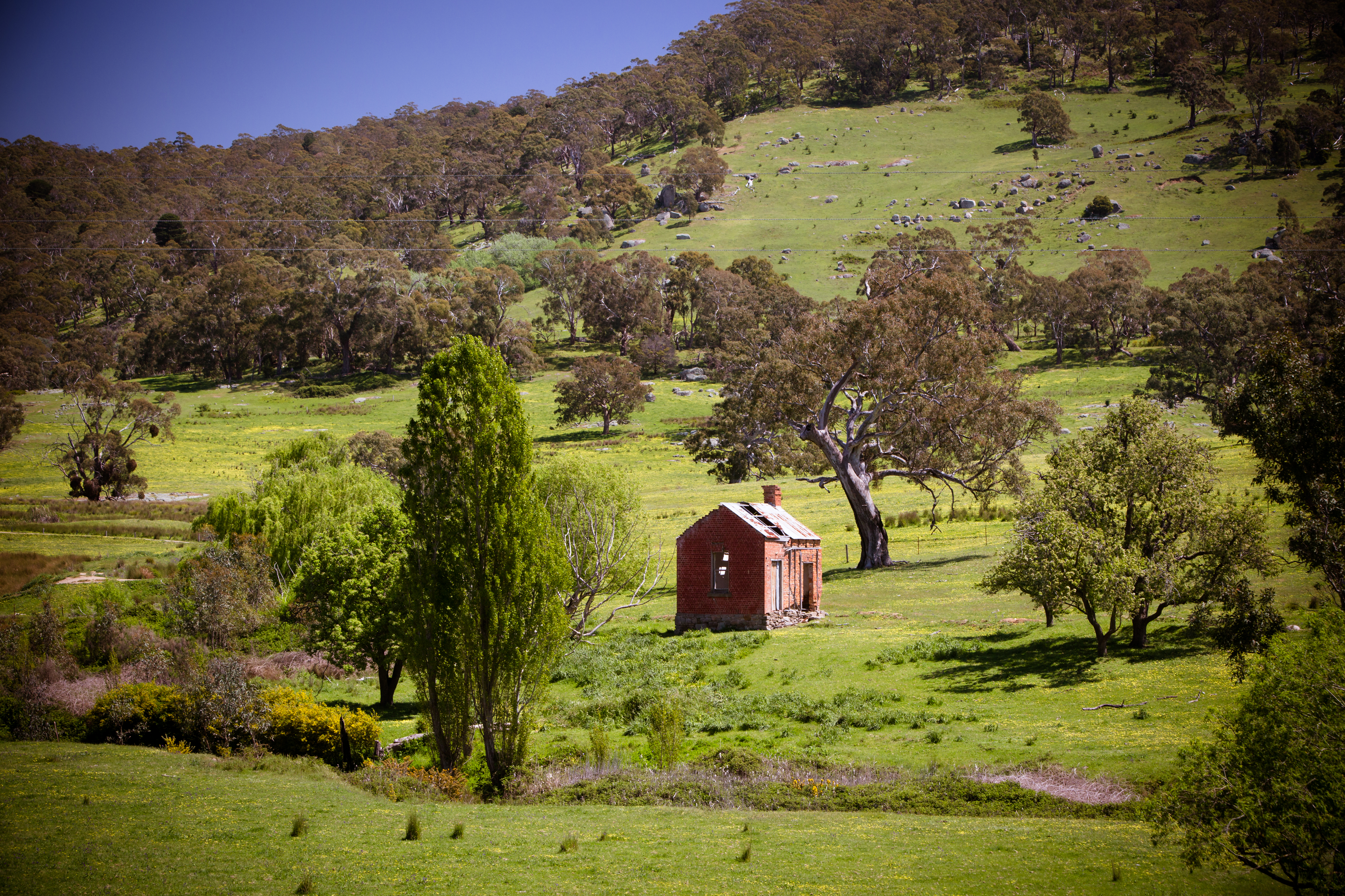Peaceful country landscape with a small homestead in rural Australia