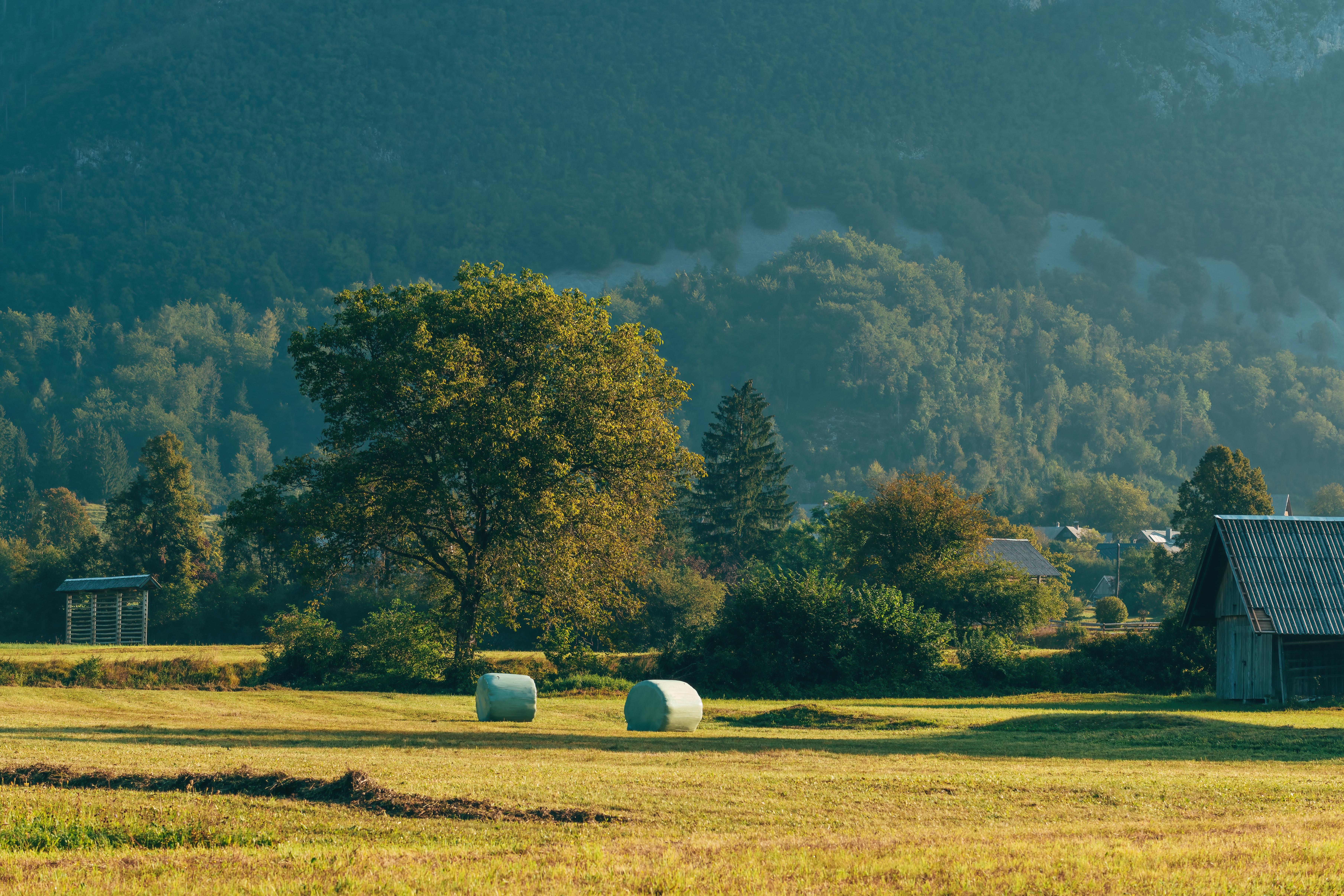 Idyllic farm meadow with rolled hay bales and a red barn